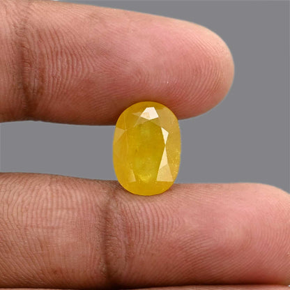 Yellow Sapphire 6.53 Carat