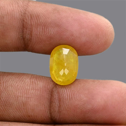 Yellow Sapphire 6.53 Carat