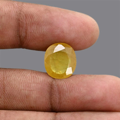 Yellow Sapphire 7.99 Carat