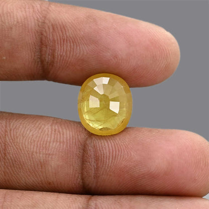 Yellow Sapphire 7.99 Carat