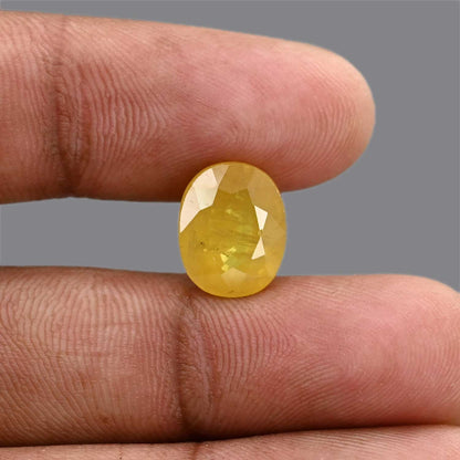 Yellow Sapphire 7.87 Carat