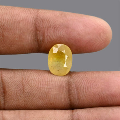 Yellow Sapphire 6.91 Carat