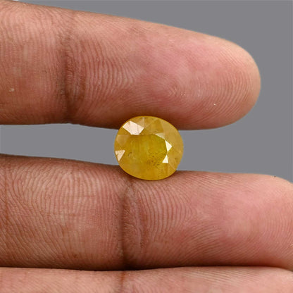 Yellow Sapphire 5.55 Carat
