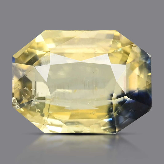 bicolour-pitambari-yspt18208501