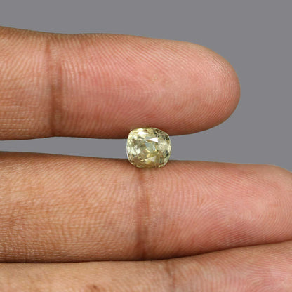 Pitambari Sapphire (Bi Colour) 3.01 Carat