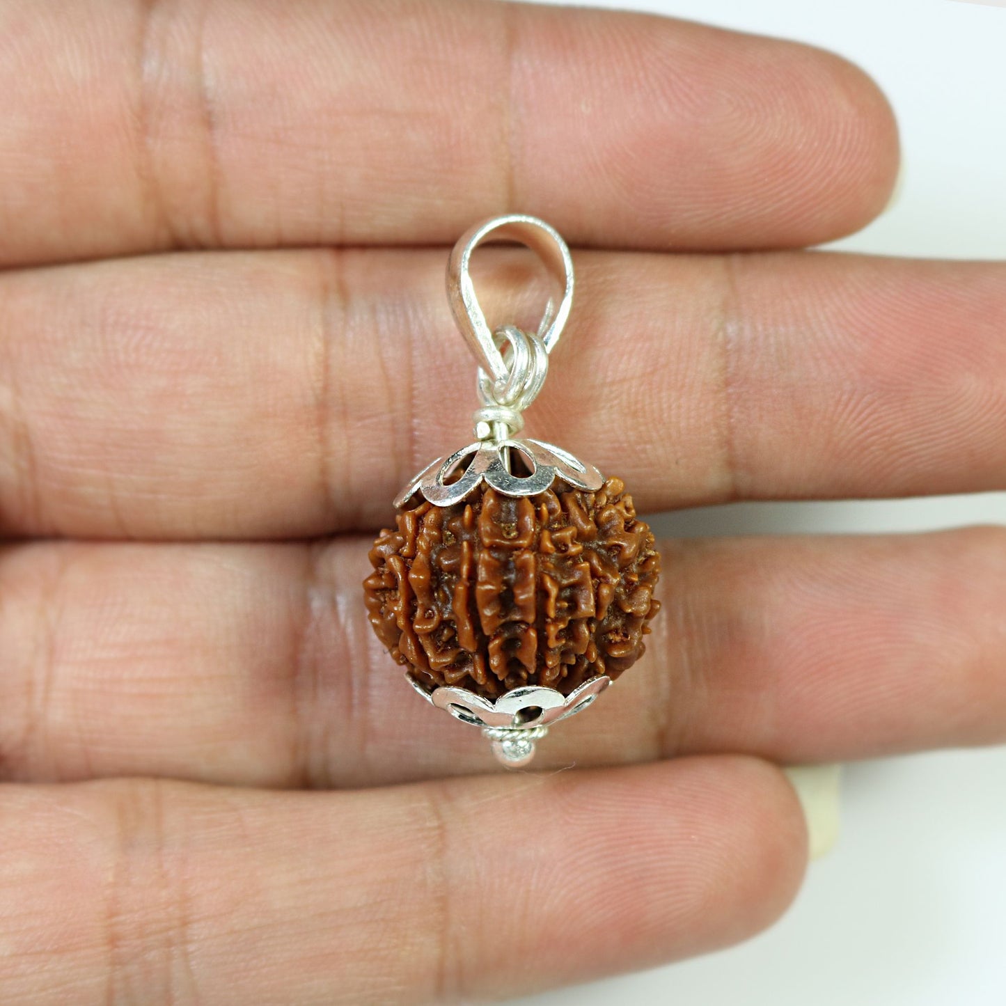 Natural 10 Mukhi (Ten Mukhi) Rudraksha Nepal Silver Pendant GJSPC Certified