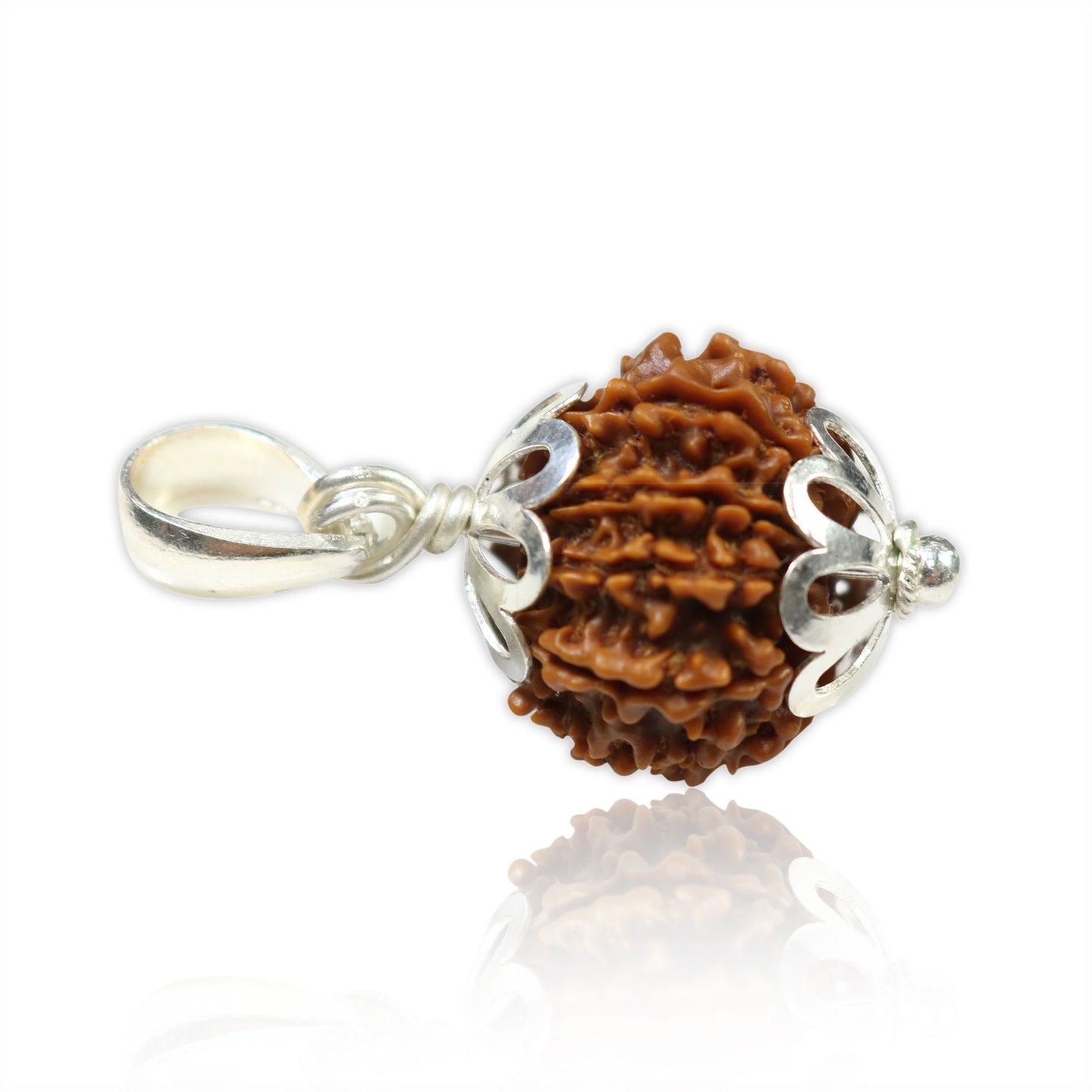 Natural 10 Mukhi (Ten Mukhi) Rudraksha Nepal Silver Pendant GJSPC Certified