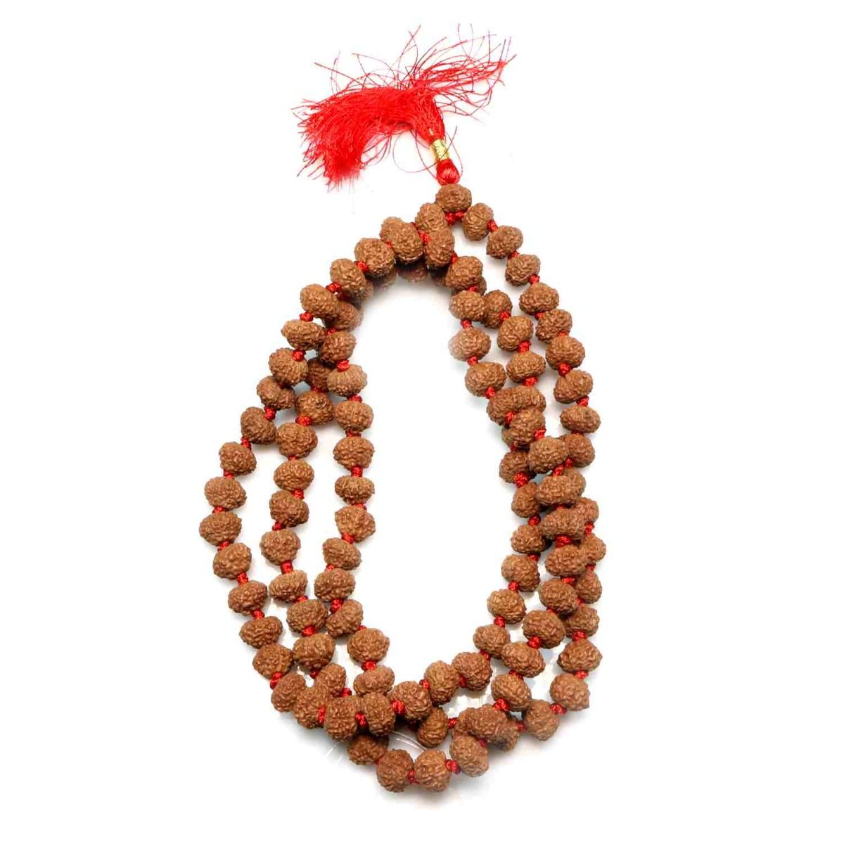 8 Mukhi Rudraksha Mala (108+1 Beads)