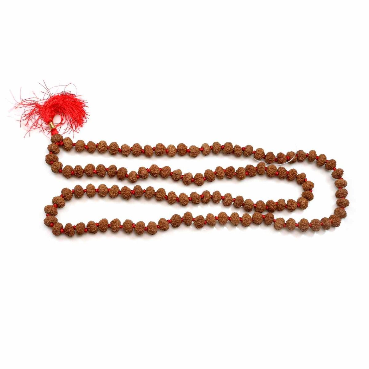 8 Mukhi Rudraksha Mala (108+1 Beads)