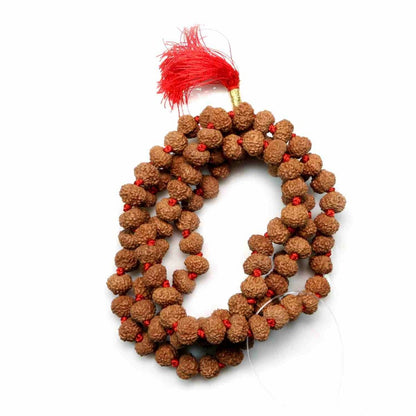 9 Mukhi Rudraksha Mala (108+1 Beads)