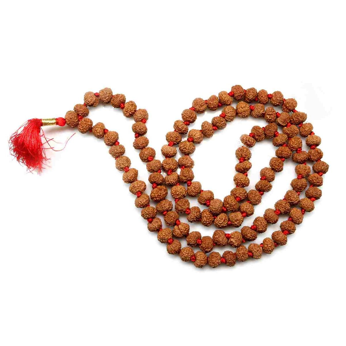 Mull Reksha Certified 9 Mukhi Rudraksha (Nepal)