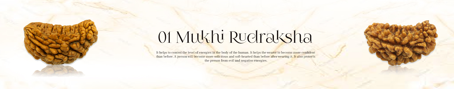 1 Mukhi Rudraksha 