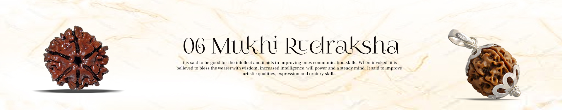  6 Mukhi Rudraksha