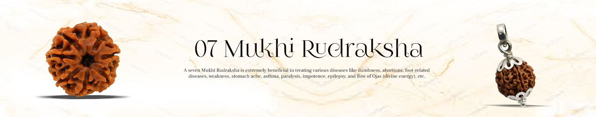  7 Mukhi Rudraksha