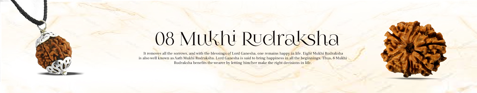8 Mukhi Rudraksha 