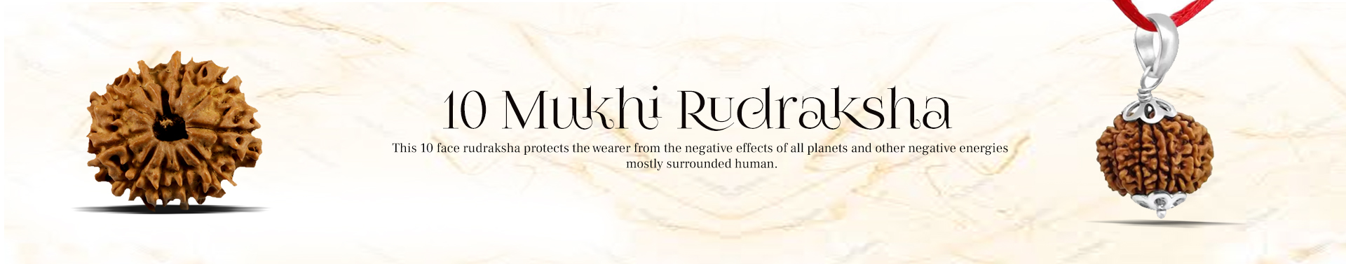  10 Mukhi Rudraksha