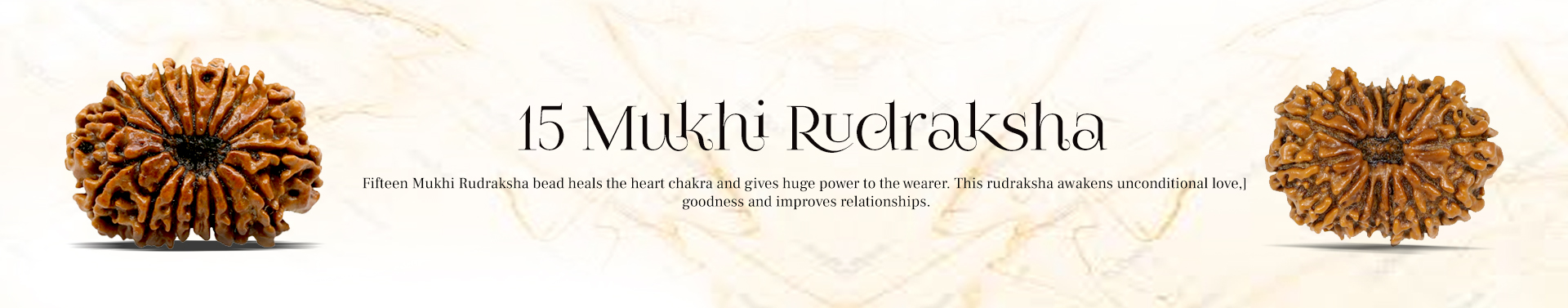 15 Mukhi Rudraksha 