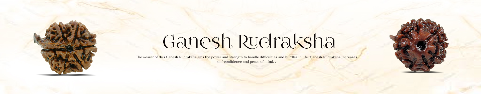 Ganesh Rudraksha