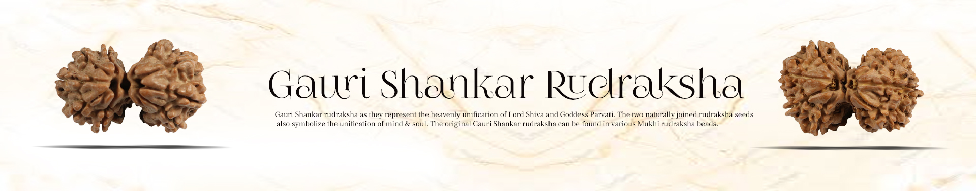 Gauri Shankar Rudraksha