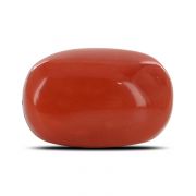 Natural Red Coral (Moonga) Capsule Cts 4.24 Ratti 4.65