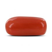Natural Red Coral (Moonga) Capsule Cts 3.19 Ratti 3.5