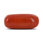 Natural Red Coral (Moonga) Capsule Cts 4.16 Ratti 4.57