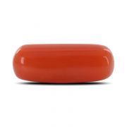 Natural Red Coral (Moonga) Capsule Cts 3.83 Ratti 4.2