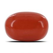 Natural Red Coral (Moonga) Oval Cts 12.91 Ratti 14.19