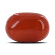 Natural Red Coral (Moonga) Oval Cts 10.6 Ratti 11.65