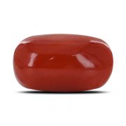 Natural Red Coral (Moonga) Oval Cts 17.14 Ratti 18.84