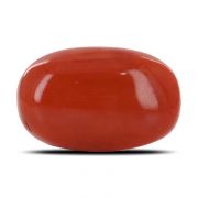 Natural Red Coral (Moonga) Oval Cts 13.61 Ratti 14.96