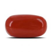 Natural Red Coral (Moonga) Oval Cts 11 Ratti 12.09