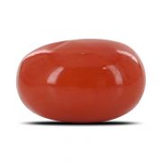 Natural Red Coral (Moonga) Oval Cts 5.89 Ratti 6.47
