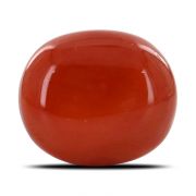 Natural Red Coral (Moonga) Oval Cts 30.6 Ratti 33.65