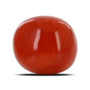 Natural Red Coral (Moonga) Oval Cts 11.59 Ratti 12.74