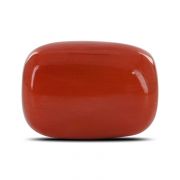 Natural Red Coral (Moonga) Oval Cts 13 Ratti 14.29