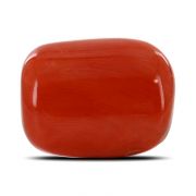 Natural Red Coral (Moonga) Oval Cts 20 Ratti 21.99