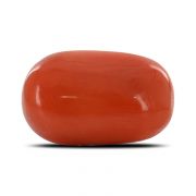 Natural Red Coral (Moonga) Capsule Cts 6.4 Ratti 7.03
