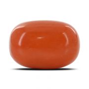 Natural Red Coral (Moonga) Oval Cts 14.92 Ratti 16.4