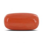 Natural Red Coral (Moonga) Capsule Cts 11.71 Ratti 12.87