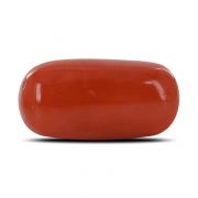 Natural Red Coral (Moonga) Capsule Cts 14.67 Ratti 16.13