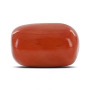 Natural Red Coral (Moonga) Capsule Cts 12.27 Ratti 13.49
