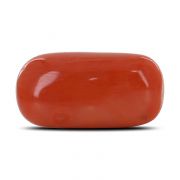Natural Red Coral (Moonga) Capsule Cts 12.68 Ratti 13.94