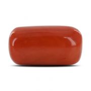 Natural Red Coral (Moonga) Capsule Cts 16.16 Ratti 17.77