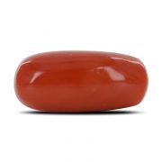Natural Red Coral (Moonga) Capsule Cts 11.78 Ratti 12.95