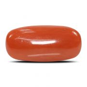 Natural Red Coral (Munga) Oval Cts 8.83 Ratti 9.71