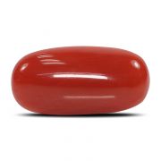 Natural Red Coral (Munga) Oval Cts 5.94 Ratti 6.53