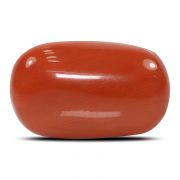 Natural Red Coral (Munga) Oval Cts 14.9 Ratti 16.39