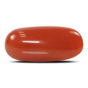Natural Red Coral (Munga) Oval Cts 5.93 Ratti 6.52
