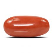 Natural Red Coral (Munga) Oval Cts 9.35 Ratti 10.29